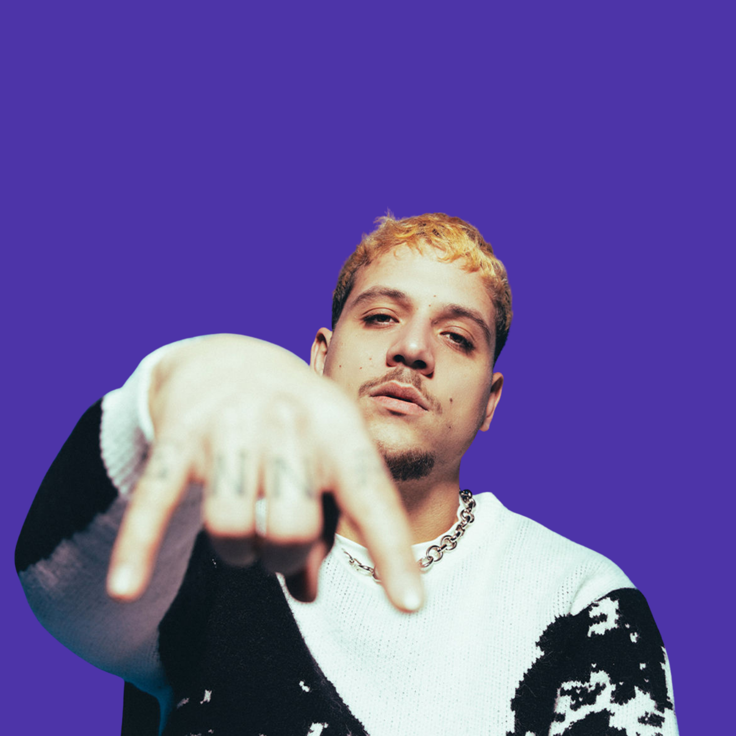 Music prints : PLK