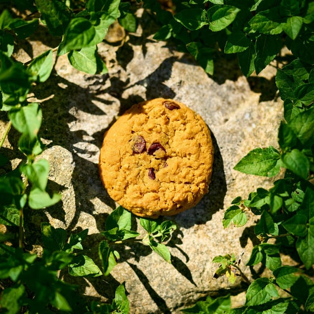 Music print | C418 - Cookie Clicker poster connecté