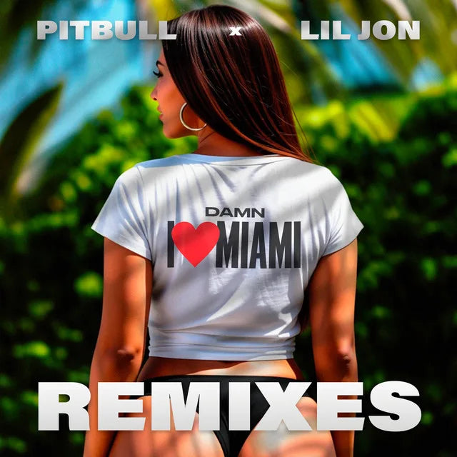 Music print | Pitbull & Lil Jon - Damn I Love Miami (Remixes) poster connecté