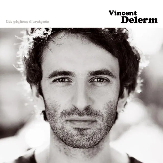Music print | Vincent Delerm - Les piqûres d'araignée poster connecté