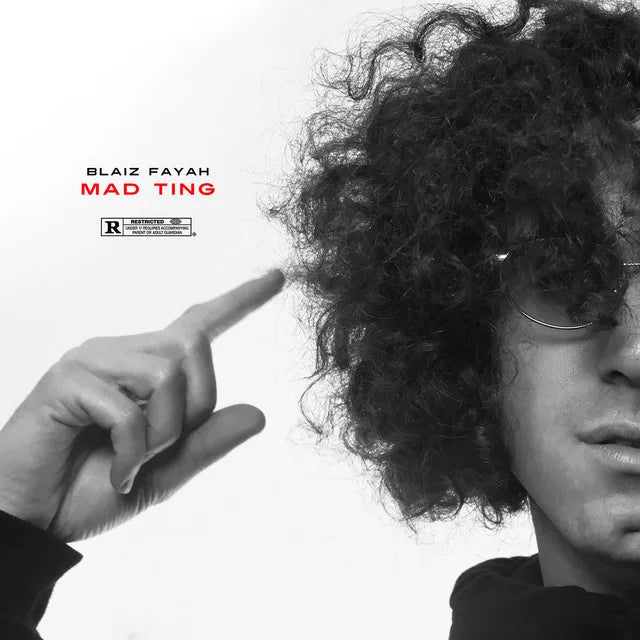 Music print | Blaiz Fayah - Mad Ting poster connecté