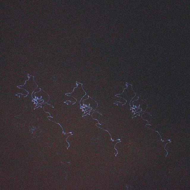 Music print | tomcbumpz & ivri - sidereal crumbs poster connecté