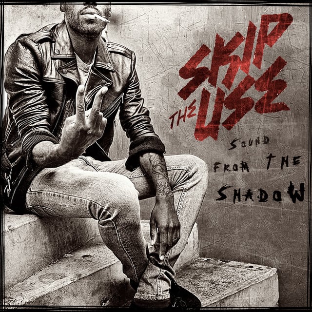 Music print | Skip the Use - Sound From The Shadow poster connecté