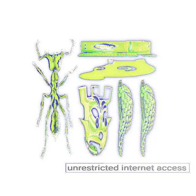 Music print | COEURCO - UNRESTRICTED INTERNET ACCESS poster connecté