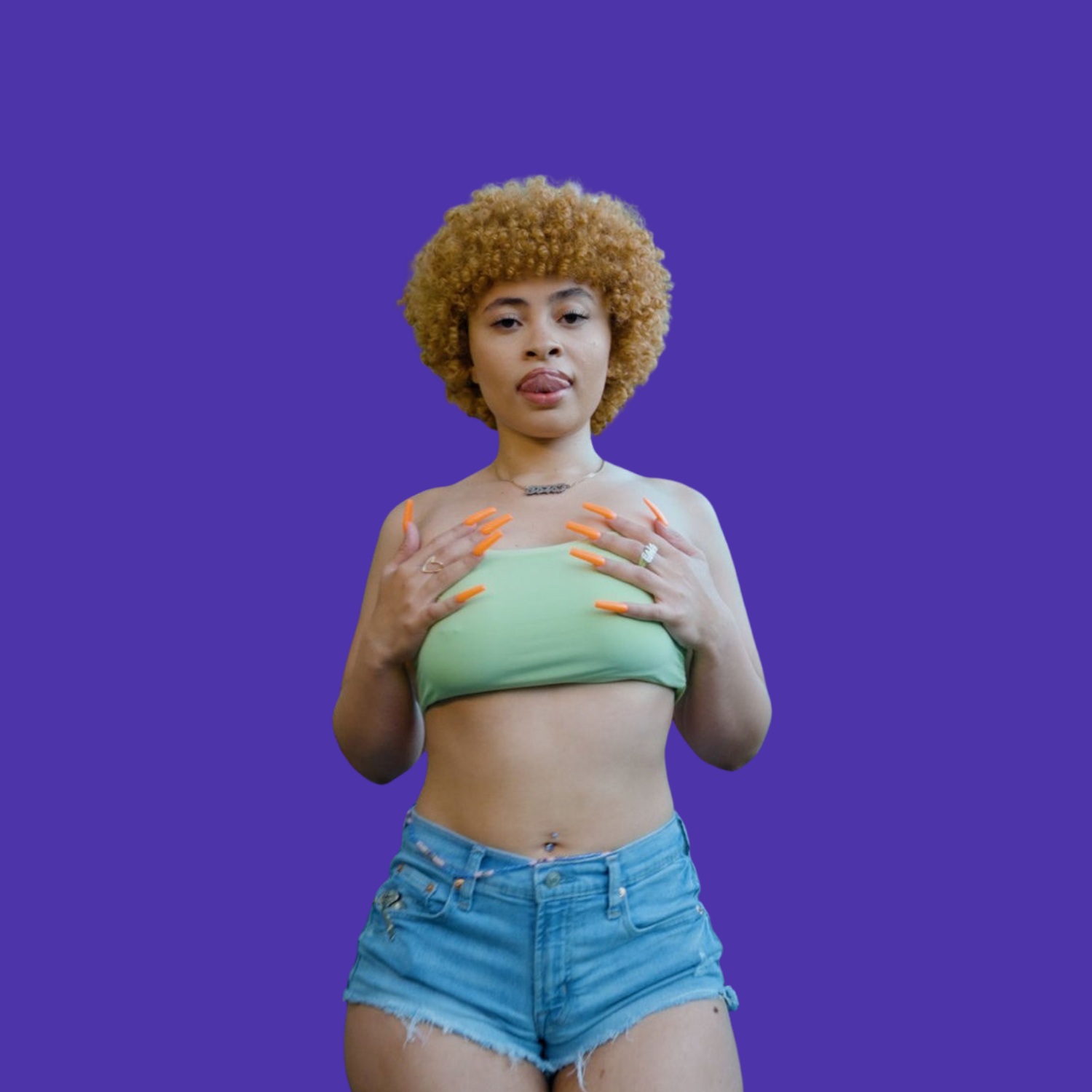 Music prints : Ice-Spice 