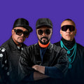 Voir tous les albums de Black Eyed Peas