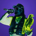 Voir tous les albums de Riff Raff
