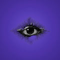 Voir tous les albums de thirdeye