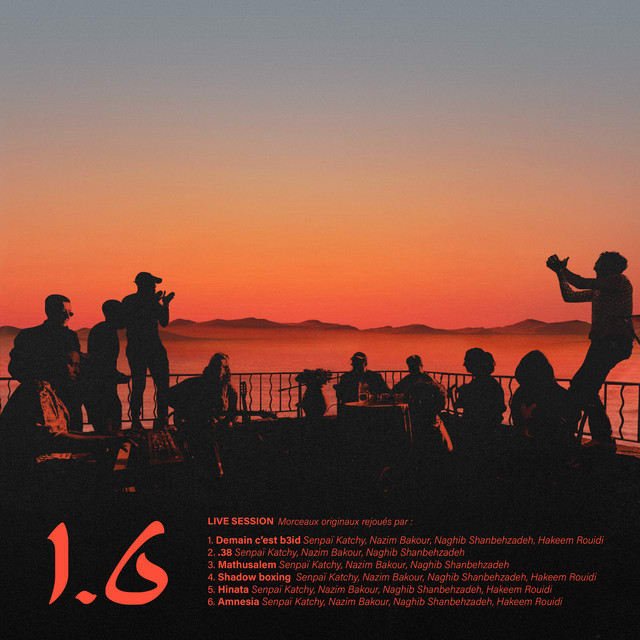 Music print | TIF - 1.6 (LIVE SESSION) poster connecté