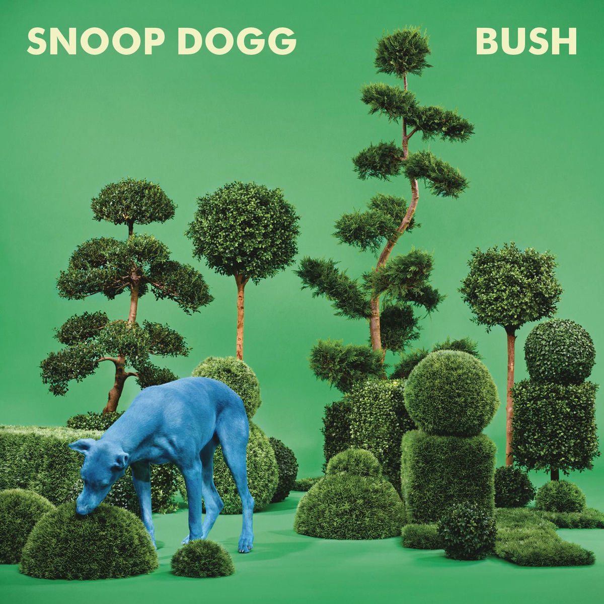 Music print | Snoop Dogg - BUSH poster connecté