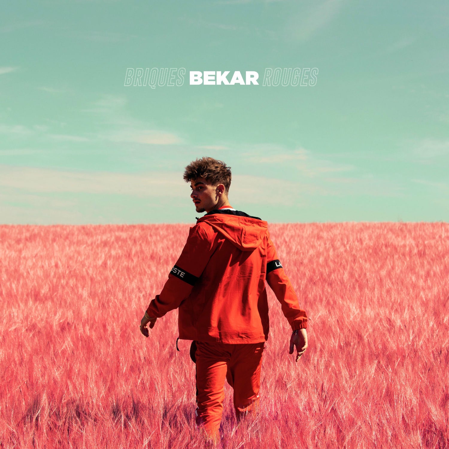 Music print | Bekar - Briques rouges poster connecté