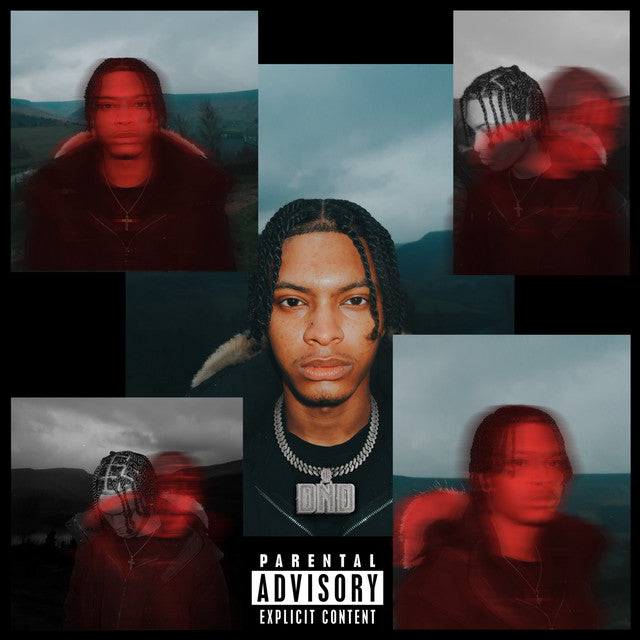 Music print | Nemzzz - DO NOT DISTURB (DELUXE) poster connecté