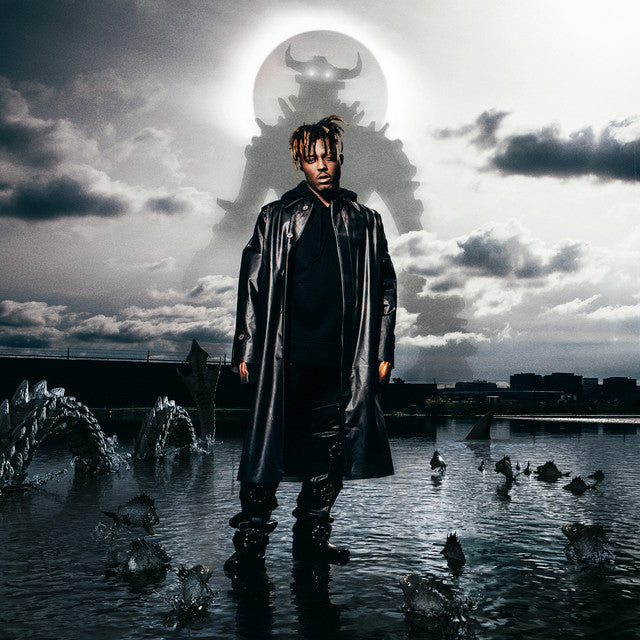 Music print | Juice WRLD - Fighting Demons poster connecté