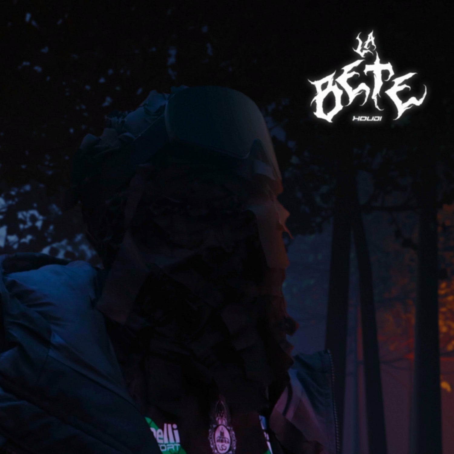 Music print | HOUDI - LA BÊTE poster connecté