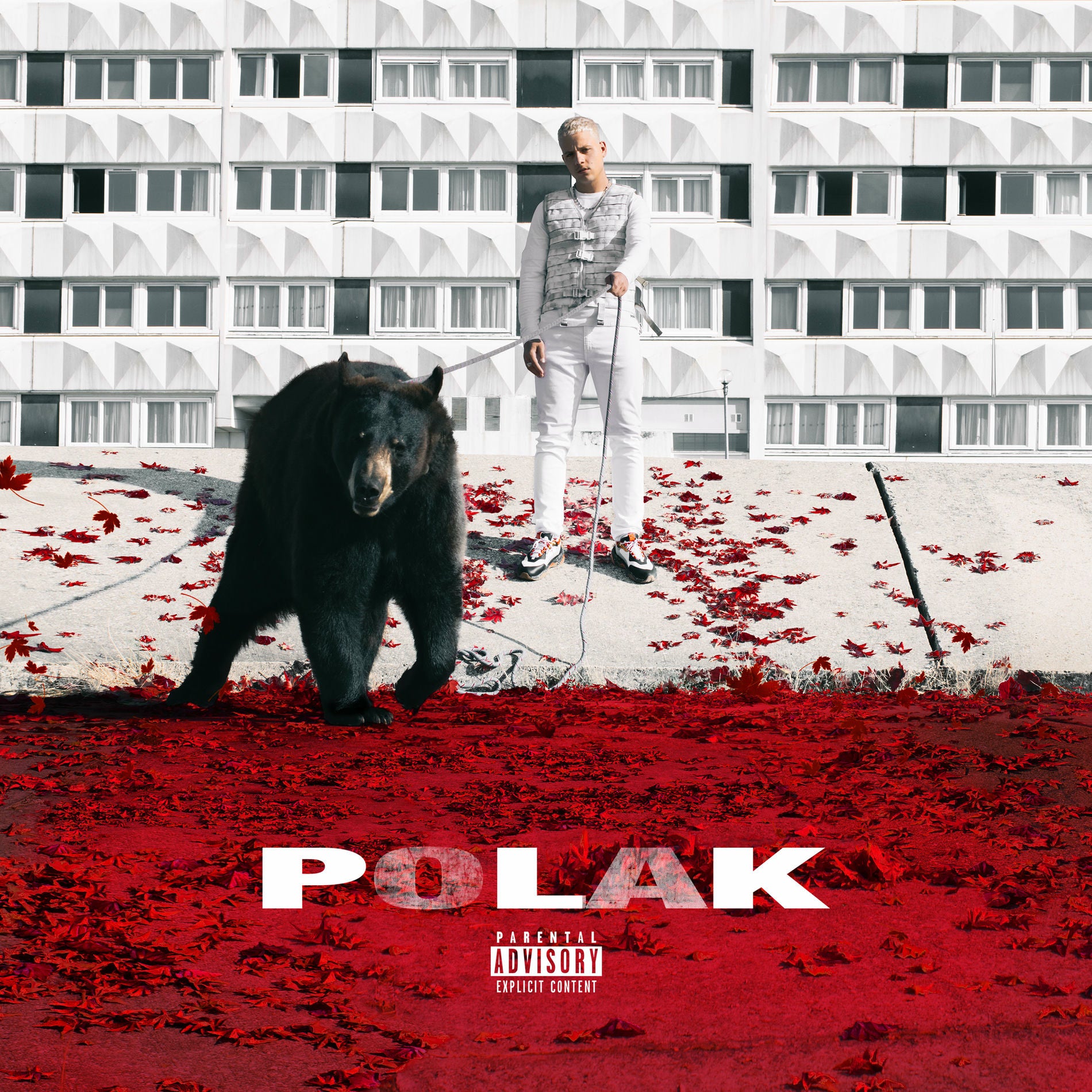 Music print | PLK - Polak