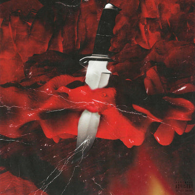 Music print | 21 Savage et Metro Boomin - Savage Mode
