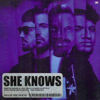 Music print | David Guetta - She Knows (with Akon) [The Remixes]