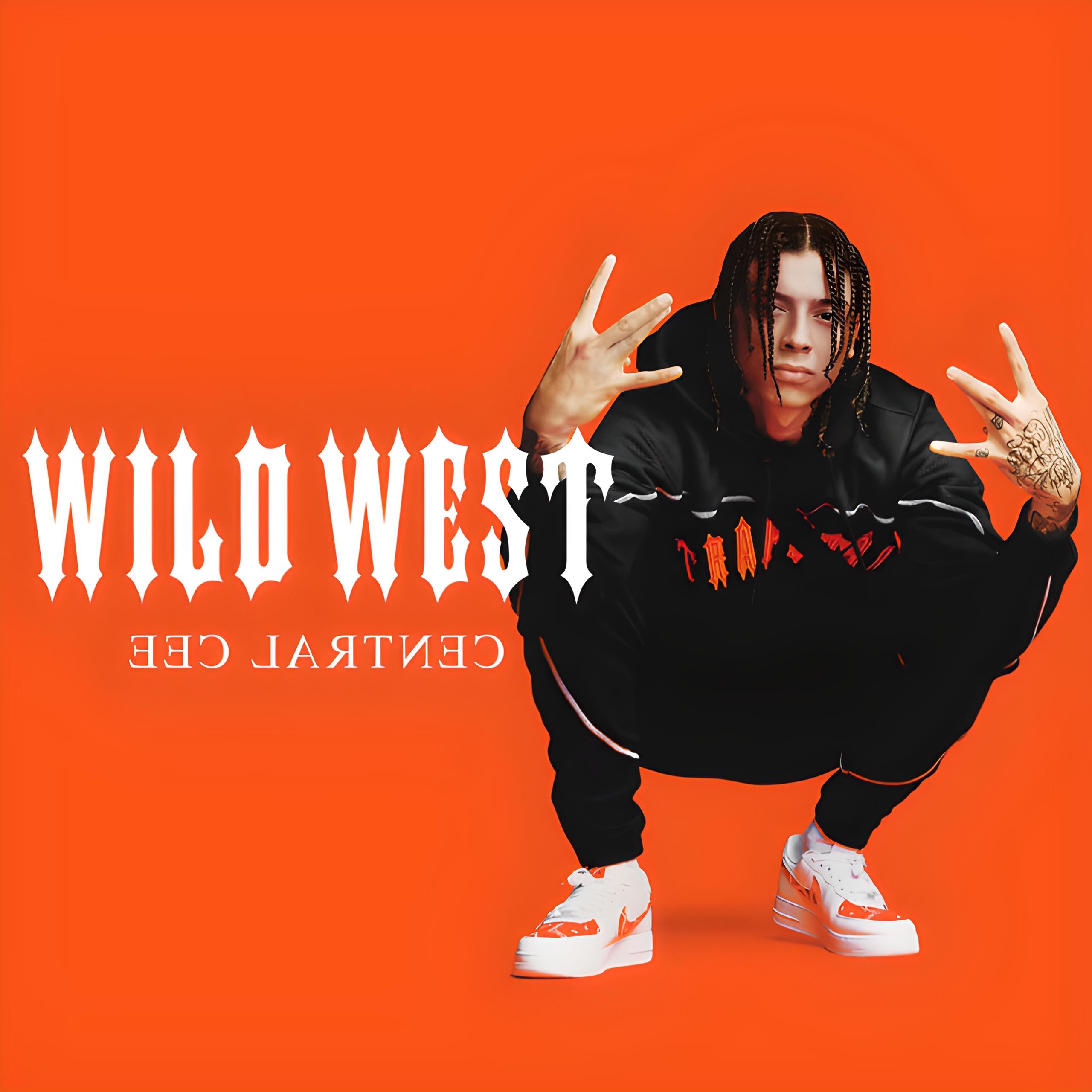 Music print | Central cee - Wild west