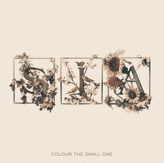 Music print | Sia - Colour The Small One poster connecté