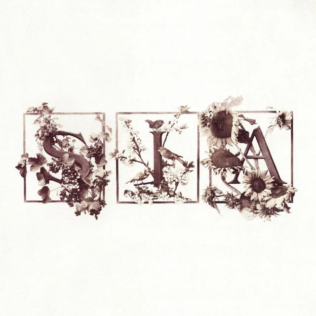 Music print | Sia - Colour The Small One (Deluxe Edition) poster connecté