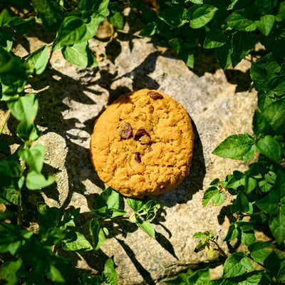 Music print | C418 - Cookie Clicker