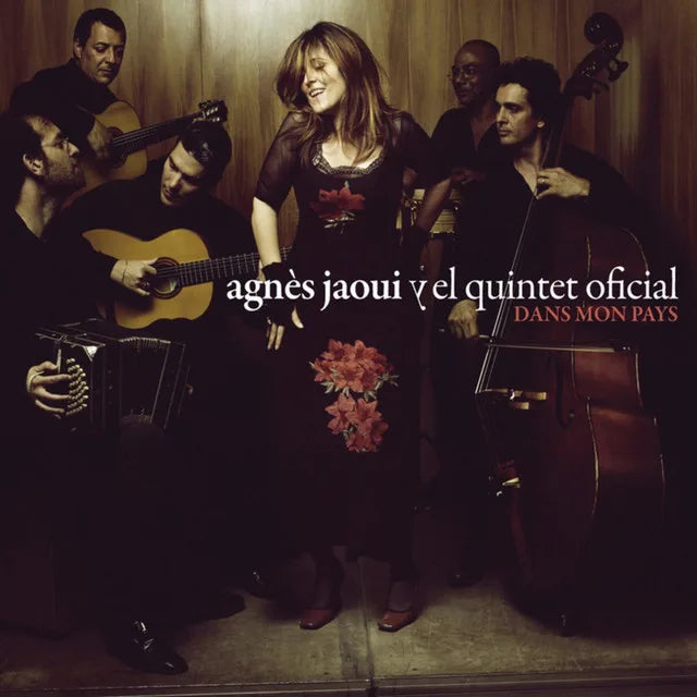 Music print | Agnès Jaoui - Dans Mon Pays poster connecté