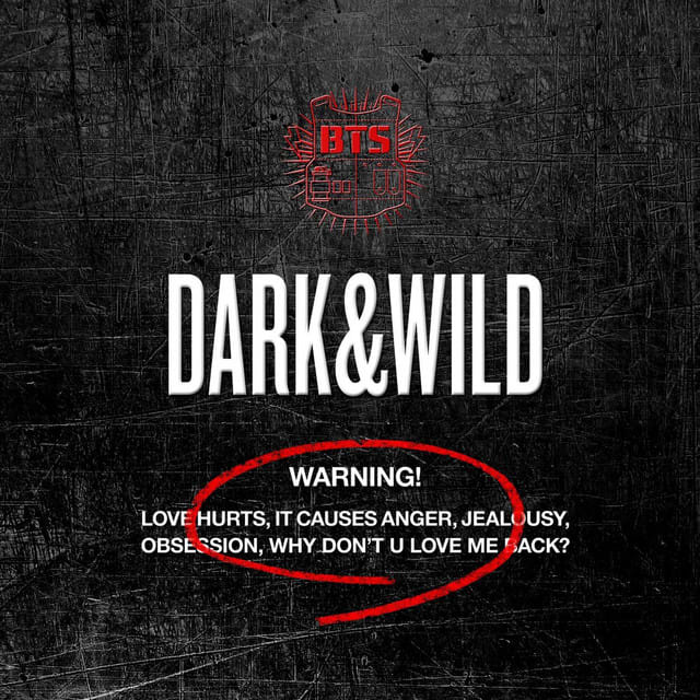 Music print | BTS - Dark & Wild poster connecté