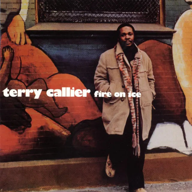 Music print | Terry Callier - Fire On Ice poster connecté