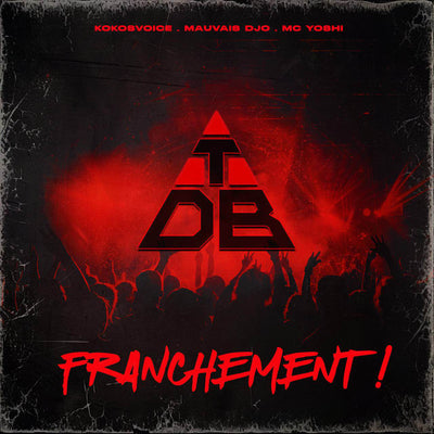 Music print | TRIANGLE DES BERMUDES - Franchement !