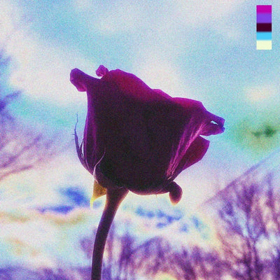 Music print | 45 KIMBO - Gorgée & Floraison