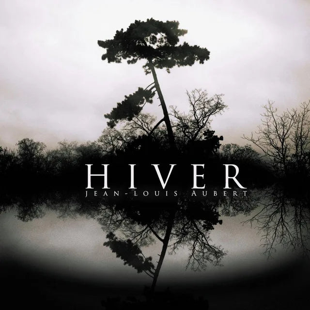 Music print | Jean-Louis Aubert - Hiver poster connecté