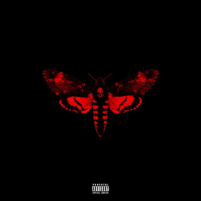 Music print | Lil Wayne - I Am Not A Human Being II poster connecté