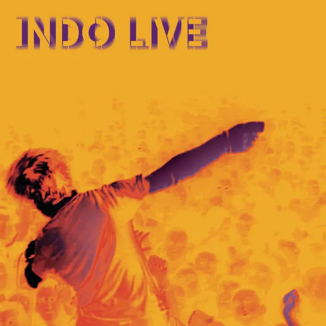 Music print | Indochine - Indo Live poster connecté