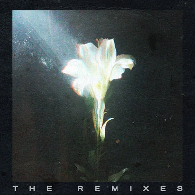 Music print | Netsky & Bebe Rexha - Light That Leads Me (The Remixes)