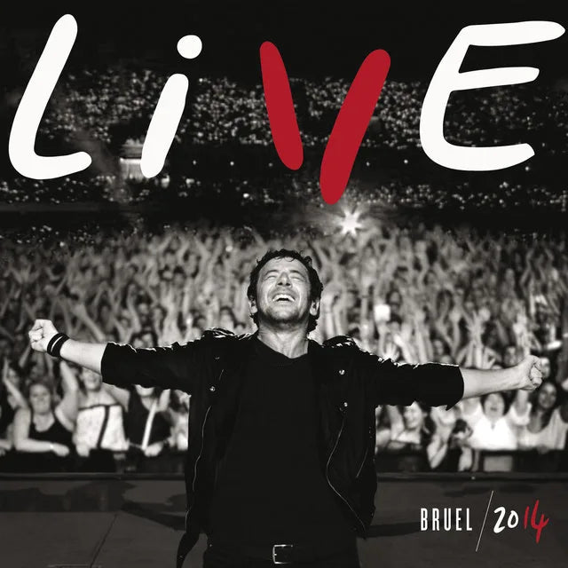Music print | Patrick Bruel - Live 2014 poster connecté
