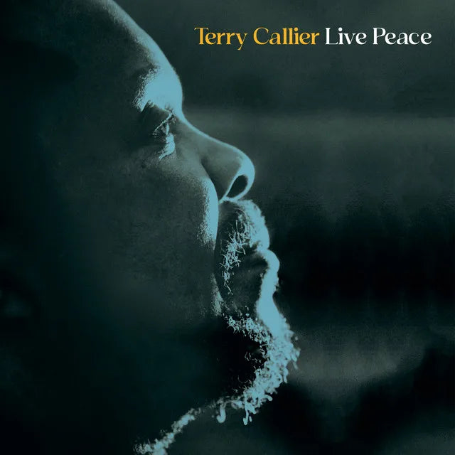 Music print | Terry Callier - Live Peace poster connecté