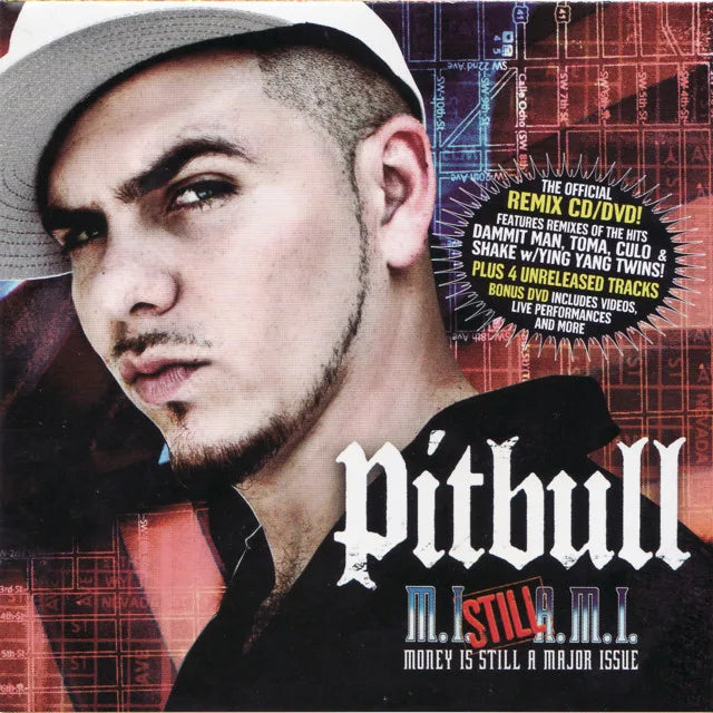 Music print | Pitbull - Money Is Still A Major Issue poster connecté