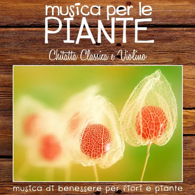 Music print | Plantasia - Musica per le piante: chitarra classica e violino (Musica di benessere per fiori e piante) poster connecté