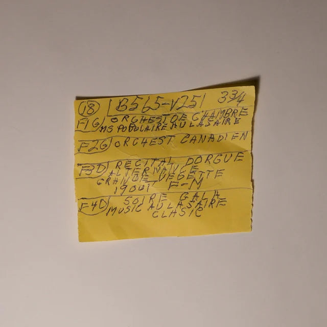 Music print | Mac DeMarco - Other Here Comes The Cowboy Demos poster connecté