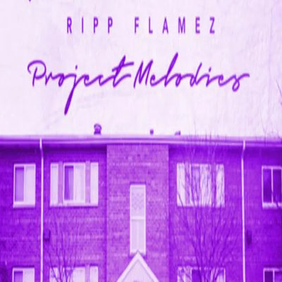 Music print | Rizzoo Rizzoo & OG Ron C - Project Melodies (ChopNotSlop Remix)