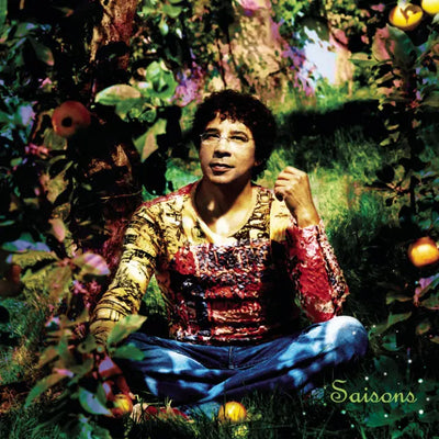 Music print | Laurent Voulzy - Saisons, Le Double Best Of
