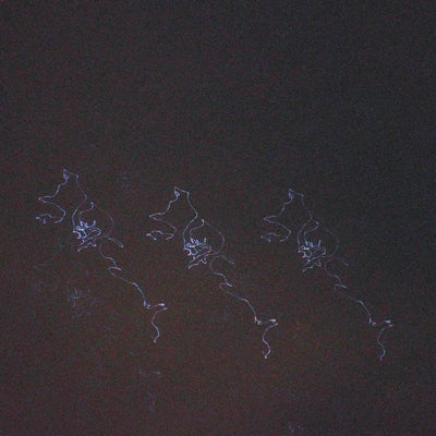 Music print | tomcbumpz & ivri - sidereal crumbs