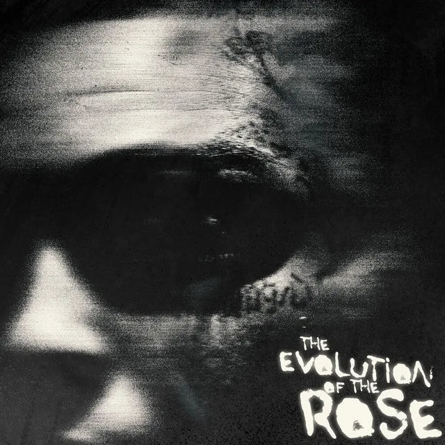 Music print | Lil Skies - The Evolution of the Rose poster connecté