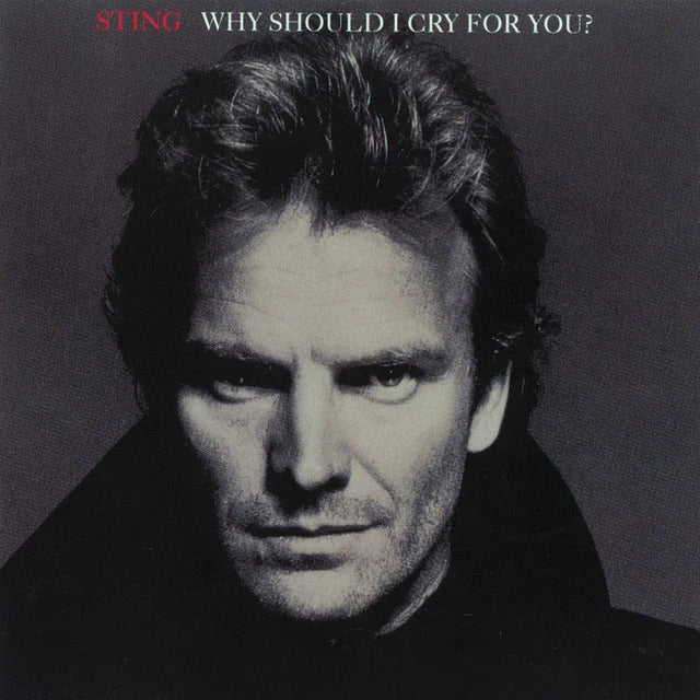 Music print | Sting - Why Should I Cry For You? poster connecté